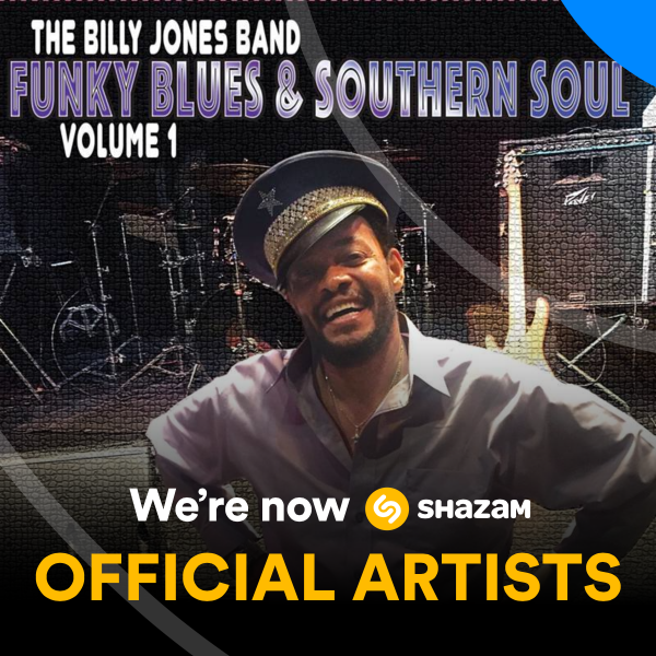 Profile image for The Billy Jones Band