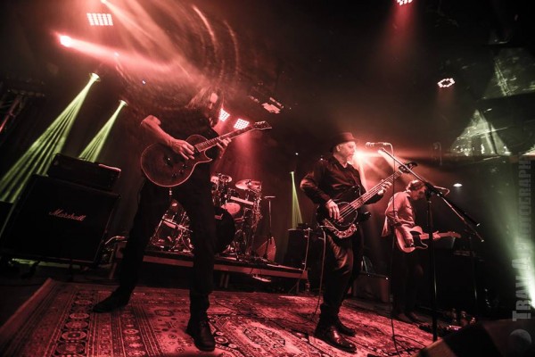 Profile image for Brad Curtis & The SOME x 6 Band