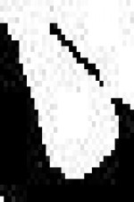 Profile image for Brother Jon Band