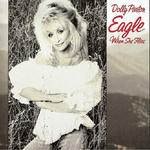 Cover for Eagle When She Flies