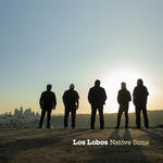 Cover for Native Sons