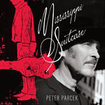 Cover for Mississippi Suitcase
