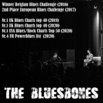 Profile image for The Bluesbones