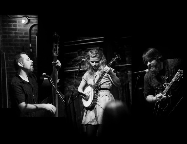 Profile image for The Feralings