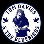 Profile image for Tom Davies & The Bluebirds