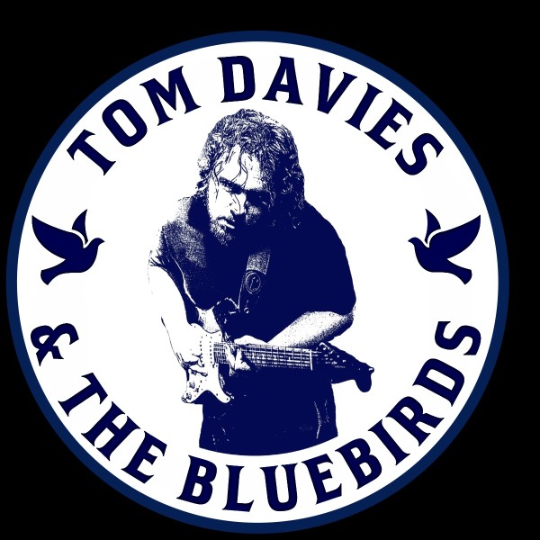Profile image for Tom Davies & The Bluebirds